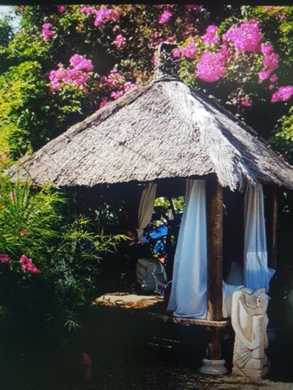 Mikuzi Hotel Kingston Kültér fotó